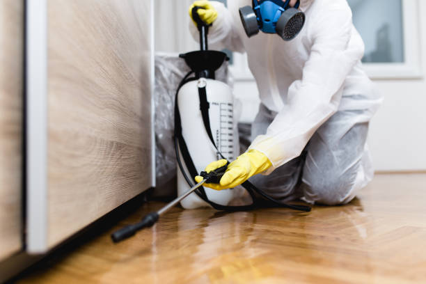 Best Pest Control for Businesses  in Weatogue, CT