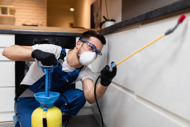 Best Flea Control Services  in Weatogue, CT