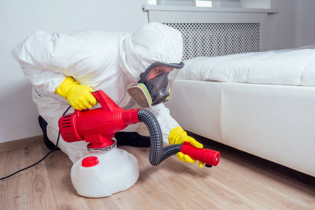 Best Residential Pest Control  in Weatogue, CT
