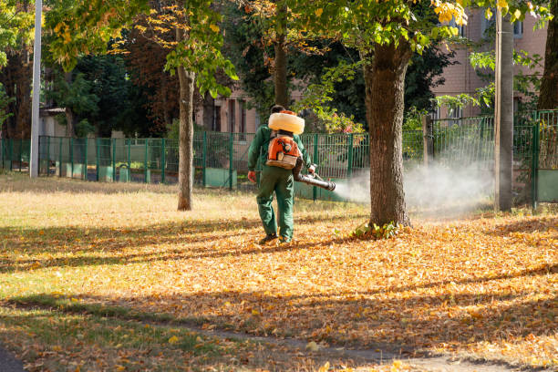 Best Best Pest Control Companies  in Weatogue, CT