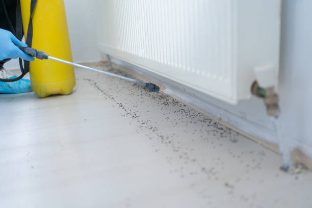 Best Exterminator Services  in Weatogue, CT