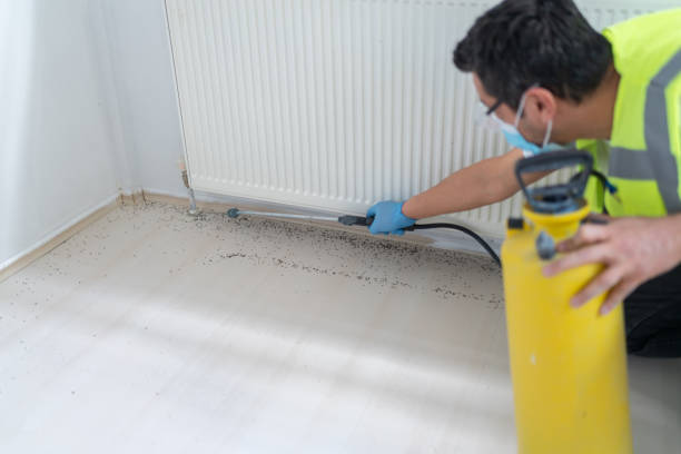 Best Mosquito Control Services  in Weatogue, CT