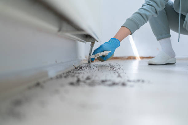 Best Affordable Pest Control Services  in Weatogue, CT